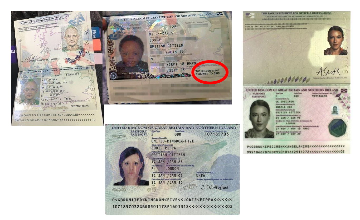 Accepted passport examples